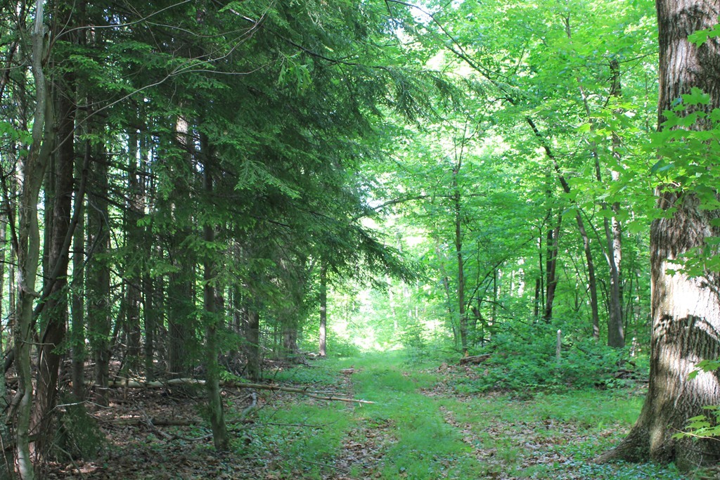 0 Merriam Road Princeton, MA 01541 - Photo 2 of 8