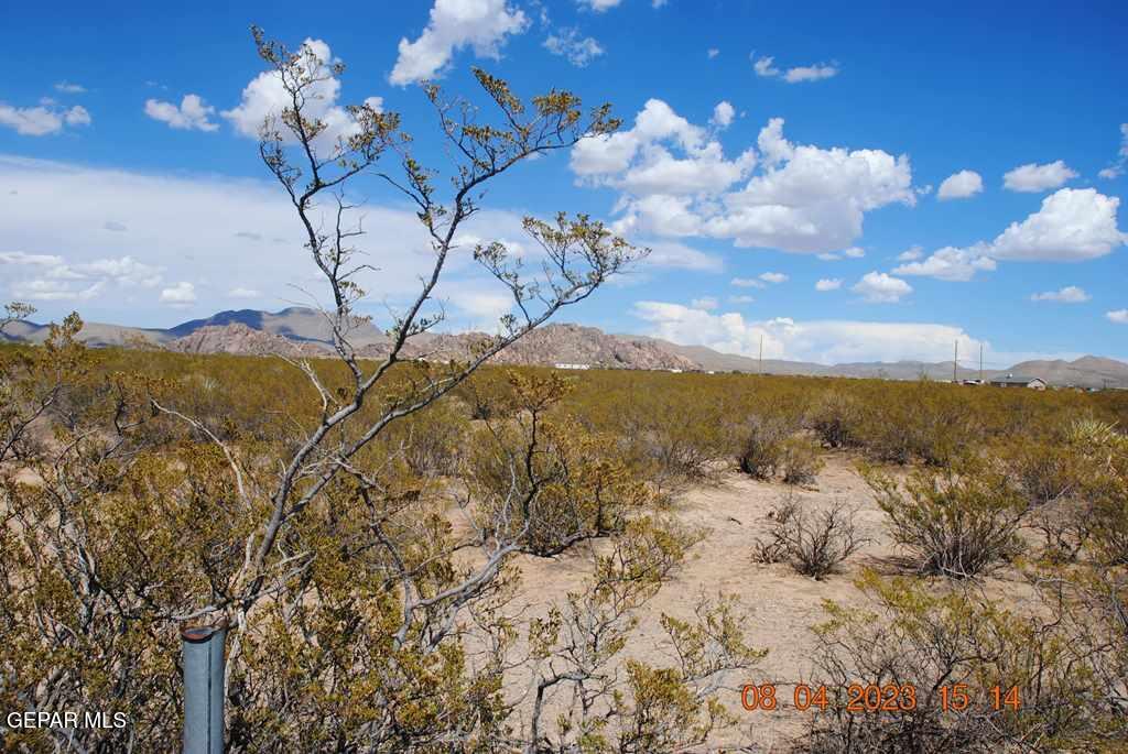 17200 Timmer Road El Paso, TX 79938 - Photo 4 of 6 a view of a yard with a snow
