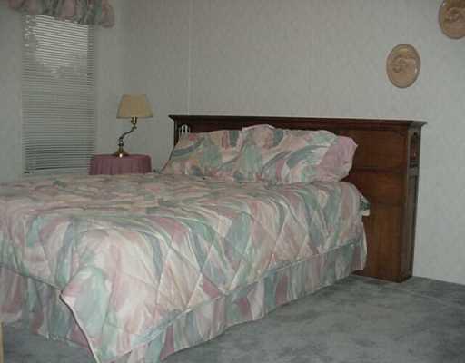 32005 Pat's Lane Springfield, LA 70462 - Photo 4 of 8