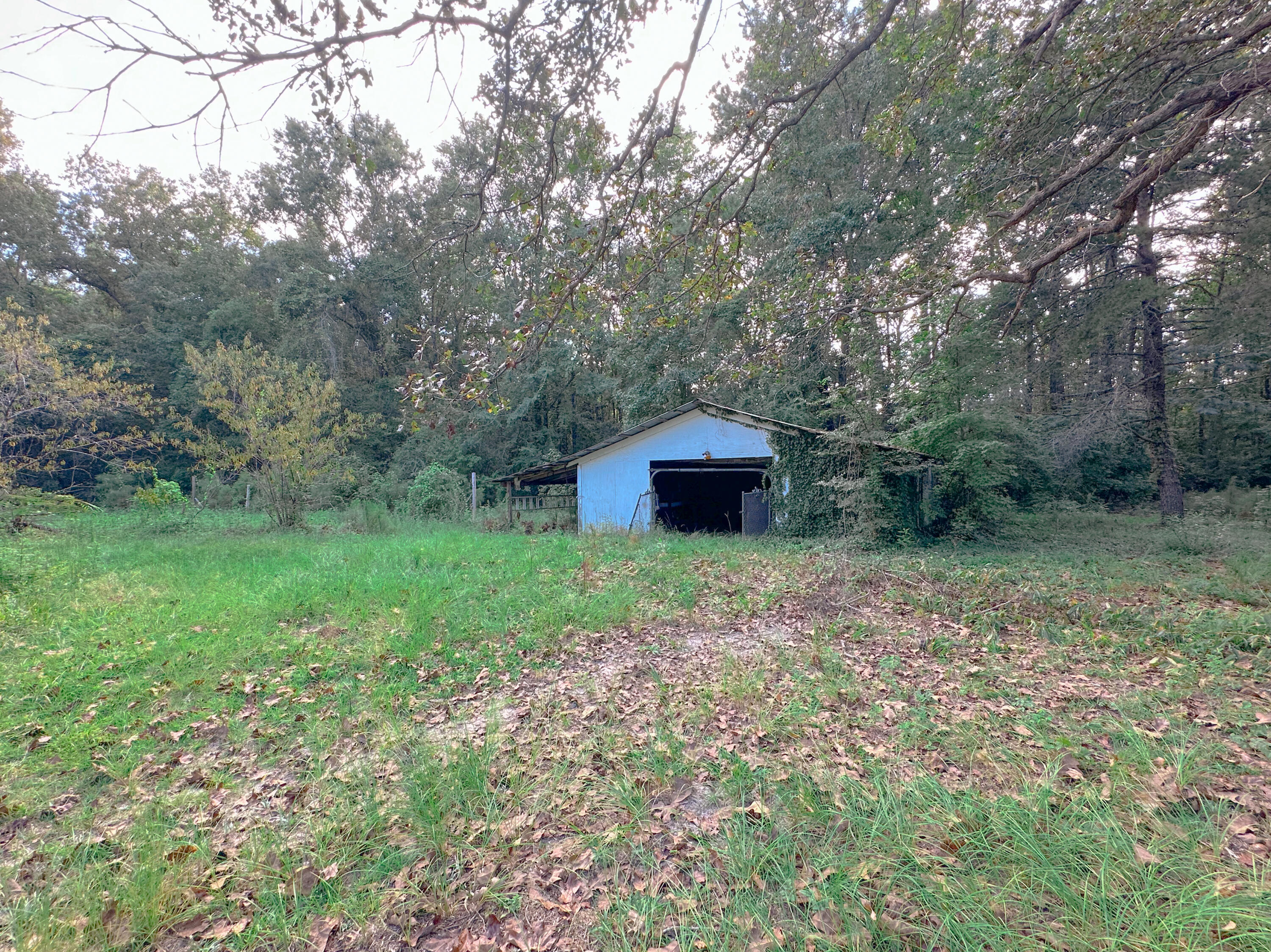 1311 Schurlknight Road St. Stephen, SC 29479 - Photo 23 of 24