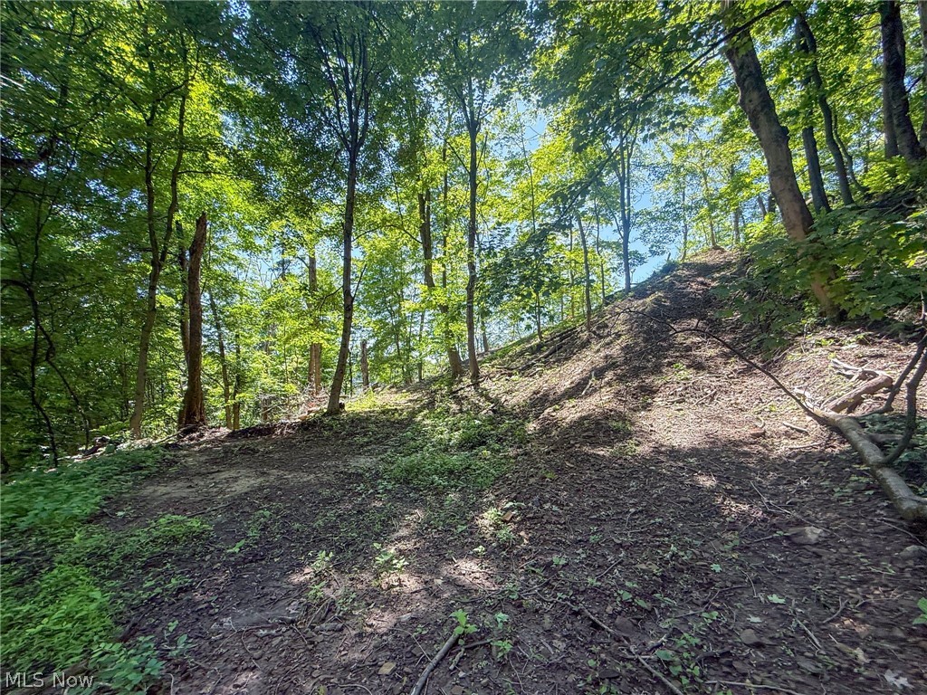 Lot 3 Altamont Road Mingo Junction, OH 43938 - Photo 27 of 32 Gallery Image 27