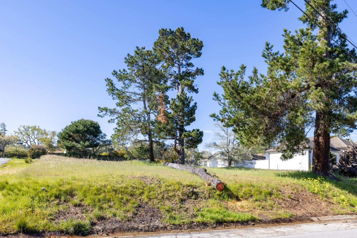 a view of a yard with an trees