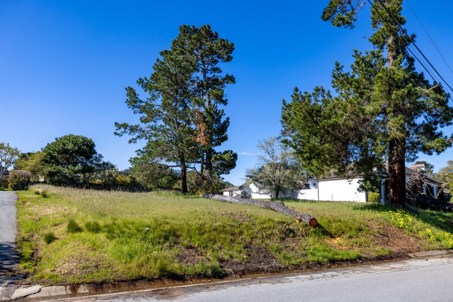 20 Alta Mesa Circle Monterey, CA 93940 - Photo 2 of 9 a view of backyard with tree