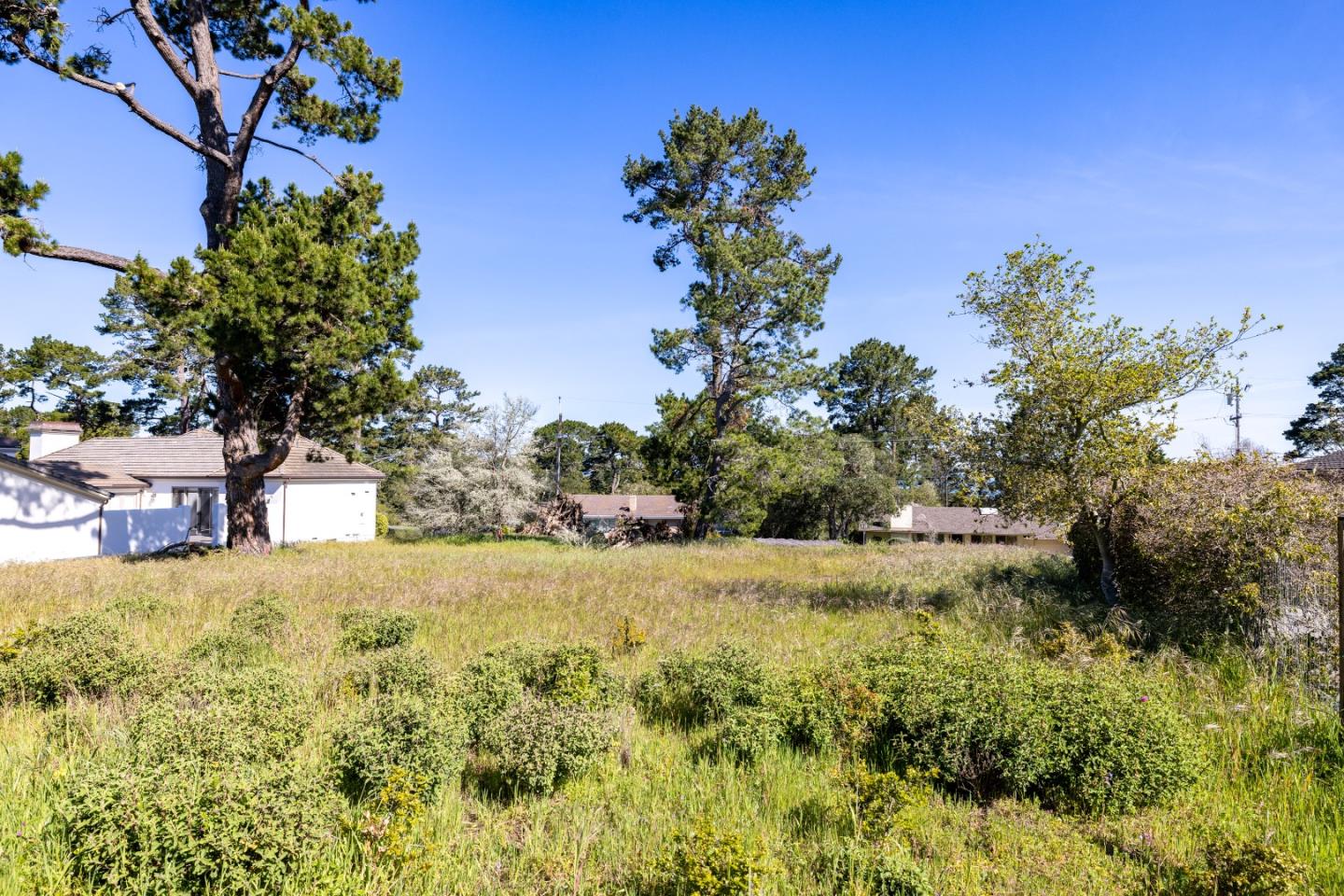 20 Alta Mesa Circle Monterey, CA 93940 - Photo 4 of 9 a view of a yard with a tree