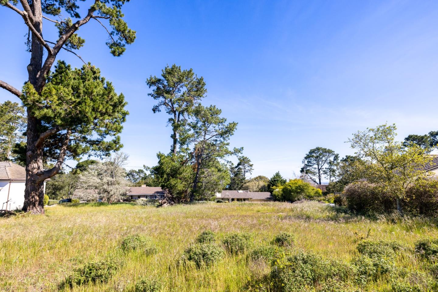 20 Alta Mesa Circle Monterey, CA 93940 - Photo 5 of 9 a view of a yard