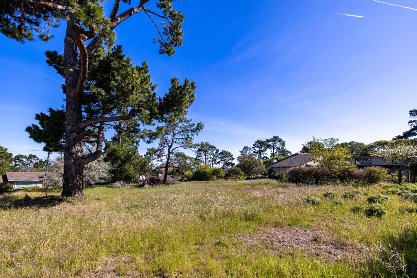 20 Alta Mesa Circle Monterey, CA 93940 - Photo 6 of 9 a view of a yard with yellow house