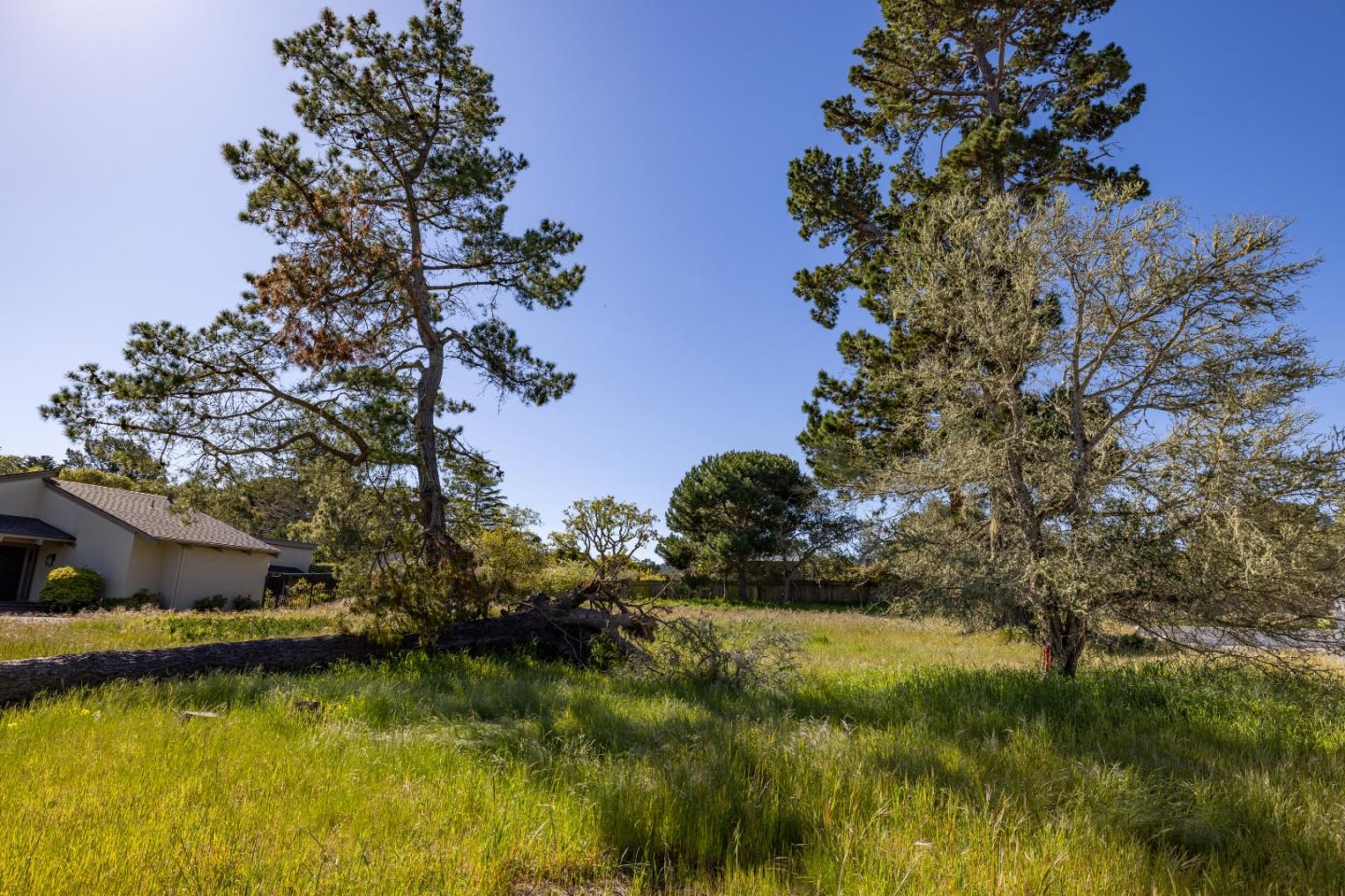 20 Alta Mesa Circle Monterey, CA 93940 - Photo 9 of 9 a view of a house with a yard