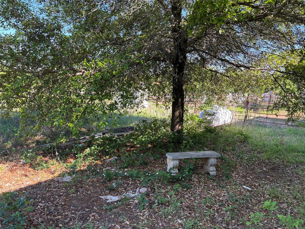 5355 Banks Road Fort Worth, TX 76140 - Photo 9 of 24 a big yard with lots of green space and plants