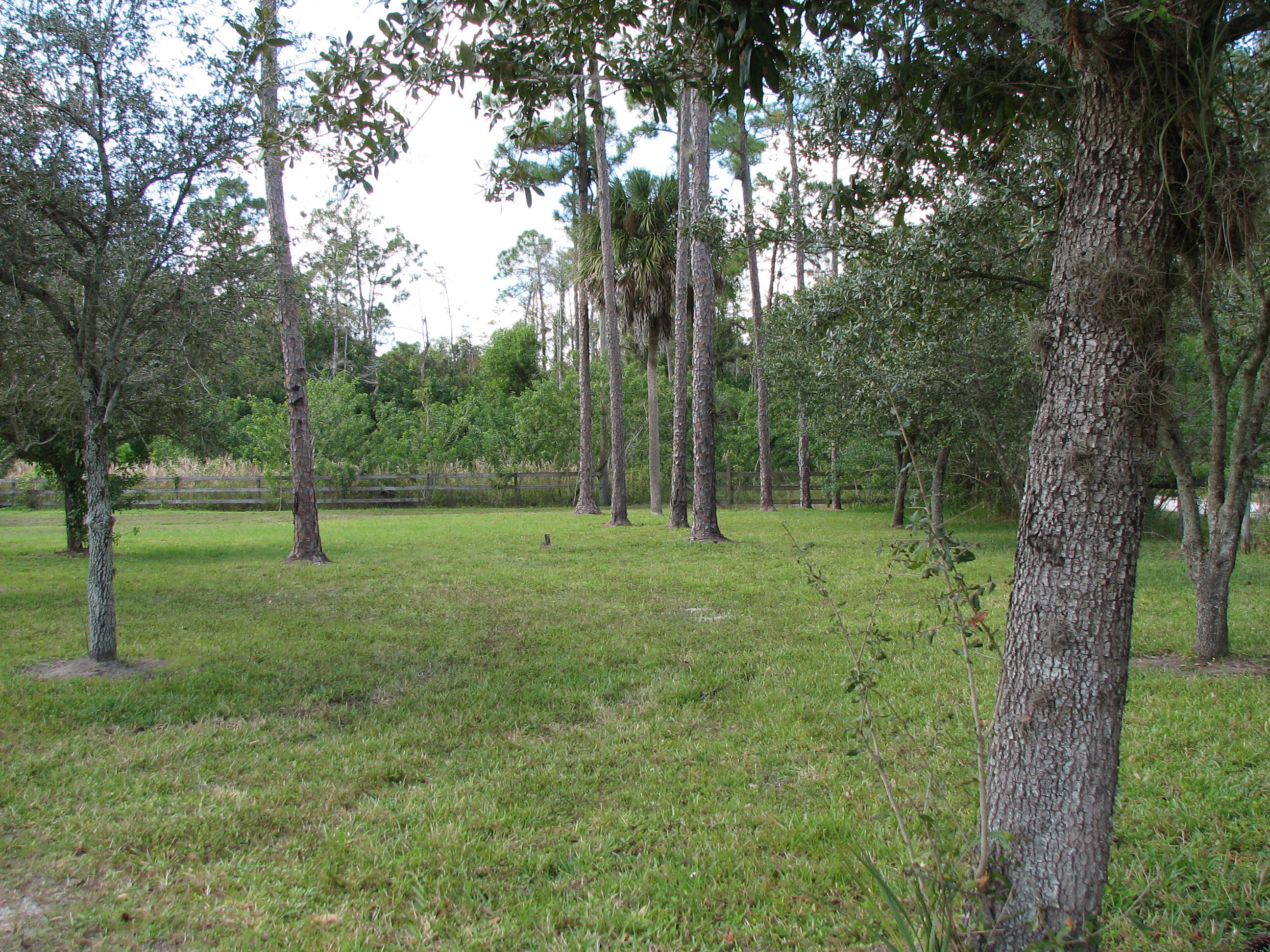 13254 Casey Road Loxahatchee Groves, FL 33470 - Photo 5 of 22 IMG_2862