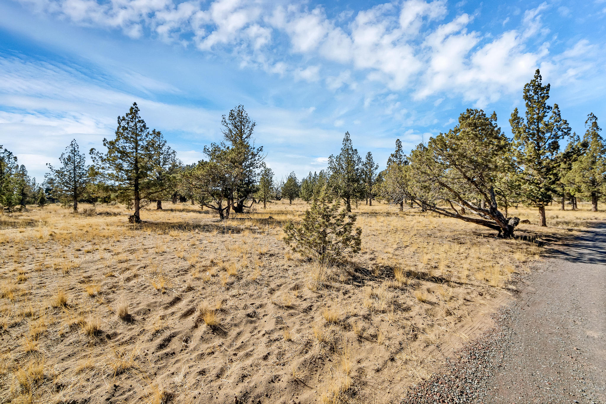 9644 Northwest Rocky Road Powell Butte, OR 97753 - Photo 11 of 31 DSC02161