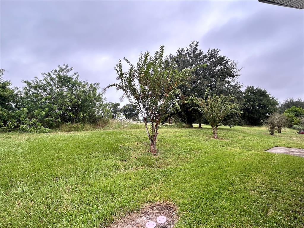 1230 Legatto Loop Dundee, FL 33838 - Photo 37 of 38 Behind Home