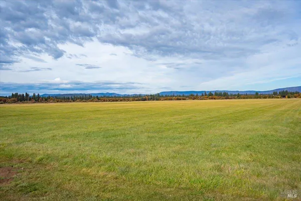 $18,500,000 | 41579 Osprey Road, Fall River Mills, CA 96028