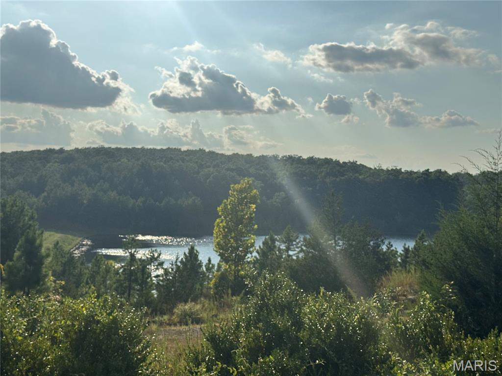 1211 Madison 9236 Fredericktown, MO 63645 - Photo 36 of 46