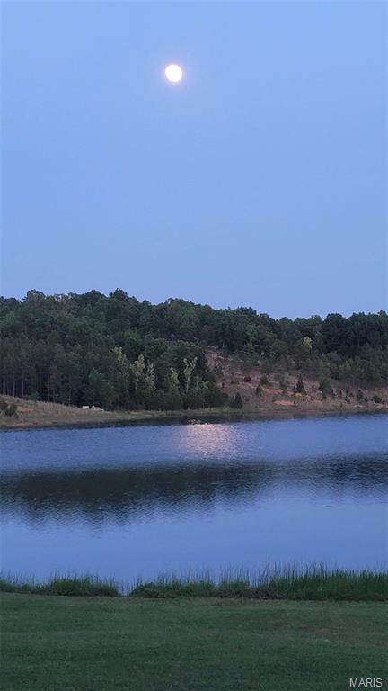 1211 Madison 9236 Fredericktown, MO 63645 - Photo 37 of 46