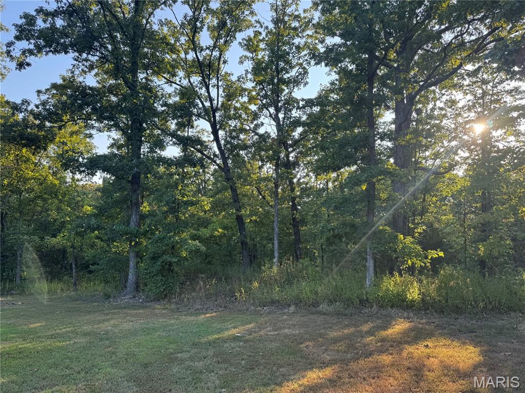 1211 Madison 9236 Fredericktown, MO 63645 - Photo 38 of 46