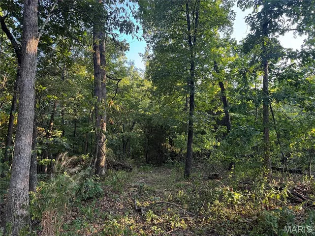 $129,900 | 1211 Madison 9236, Fredericktown, MO 63645