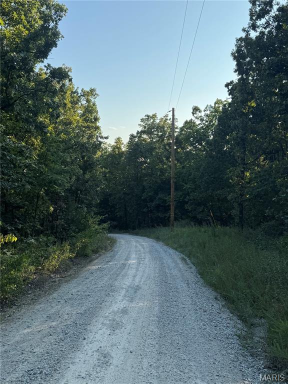 1211 Madison 9236 Fredericktown, MO 63645 - Photo 45 of 46