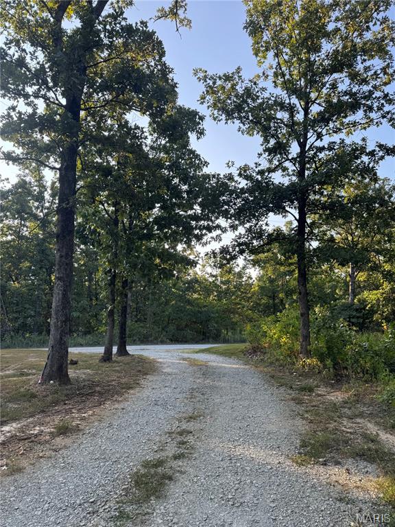 1211 Madison 9236 Fredericktown, MO 63645 - Photo 46 of 46