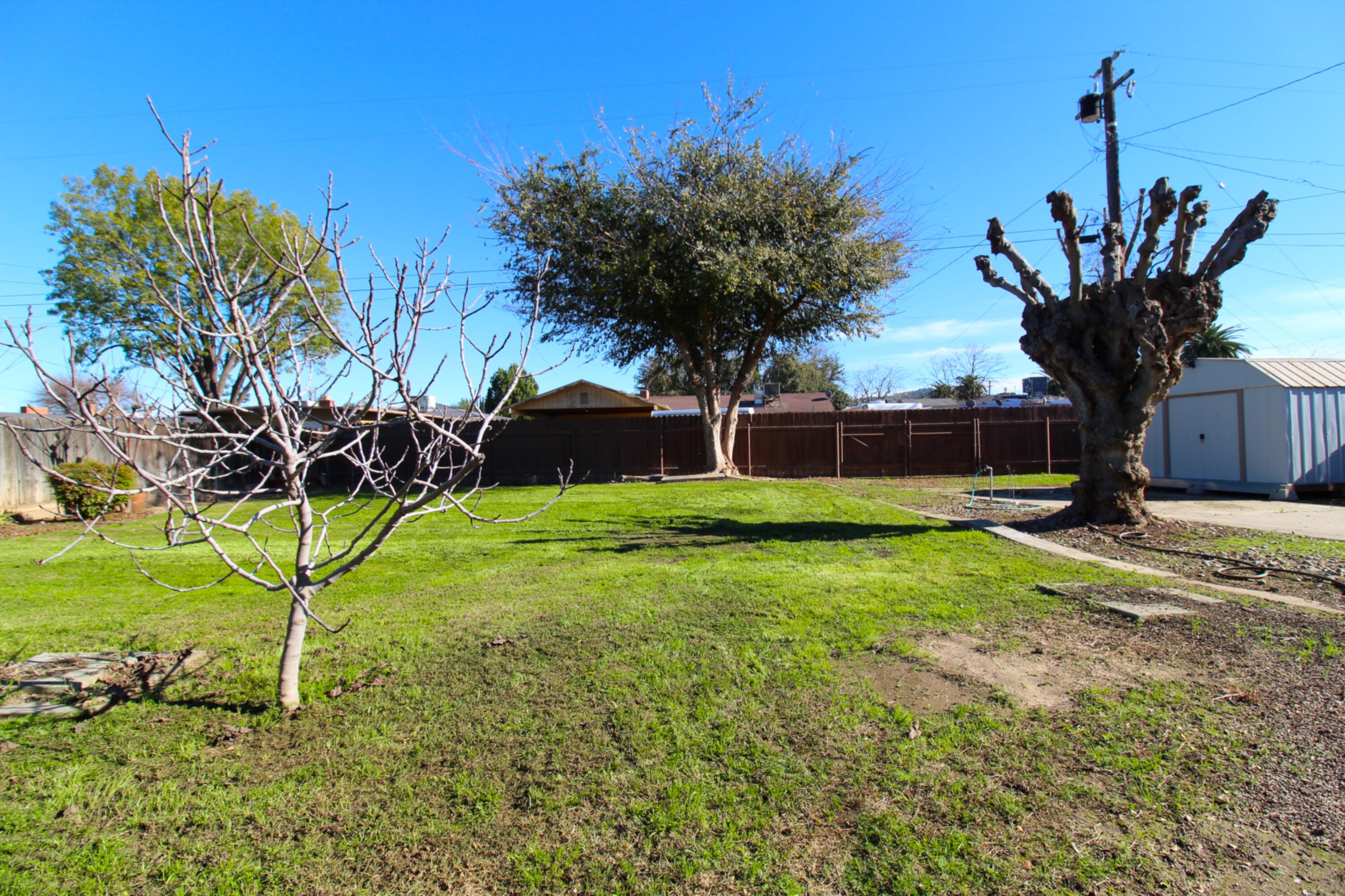 309 Sycamore Drive Exeter, CA 93221 - Photo 29 of 29 IMG_9939