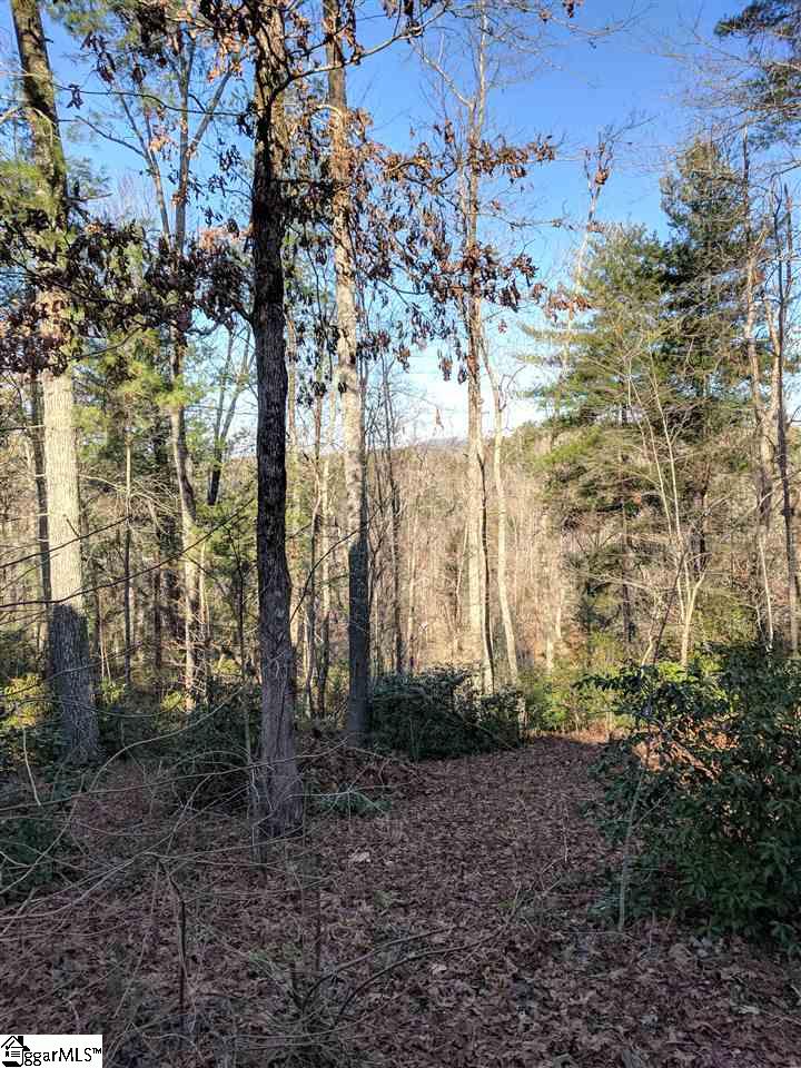1338 Gravley Road Pickens, SC 29671 - Photo 11 of 28