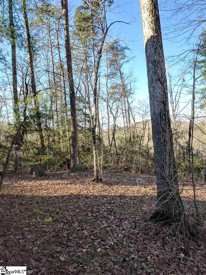 1338 Gravley Road Pickens, SC 29671 - Photo 12 of 28