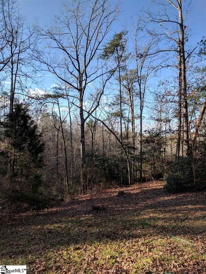 1338 Gravley Road Pickens, SC 29671 - Photo 8 of 28