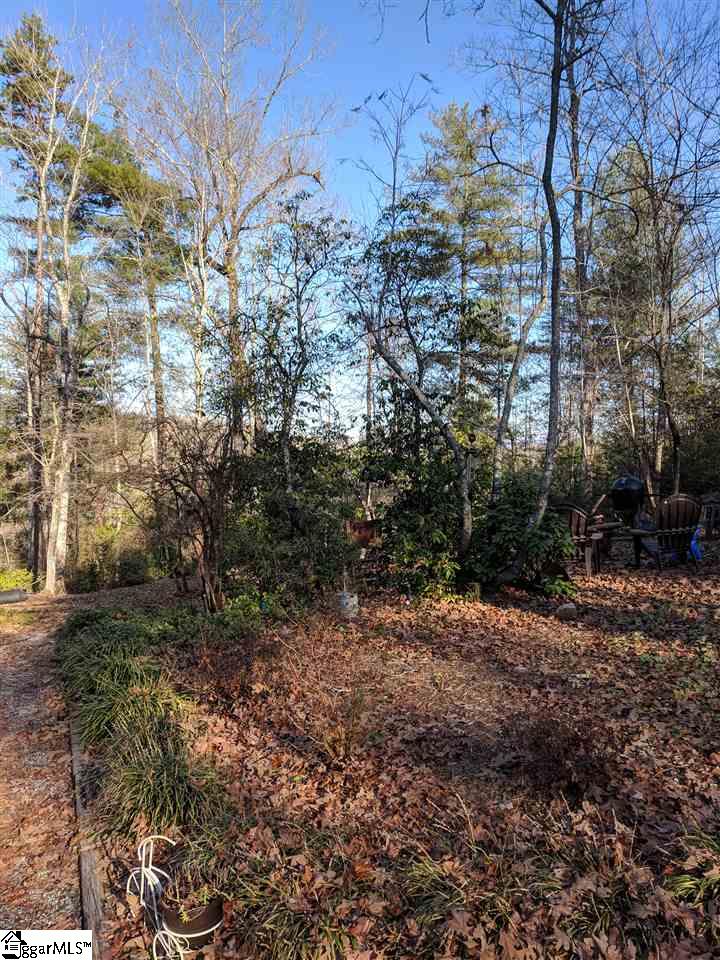1338 Gravley Road Pickens, SC 29671 - Photo 10 of 28