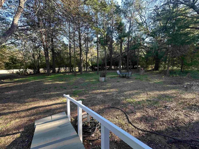 a view of a park with large trees