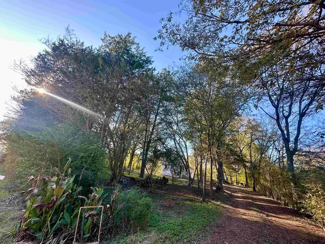 a view of park on side of street