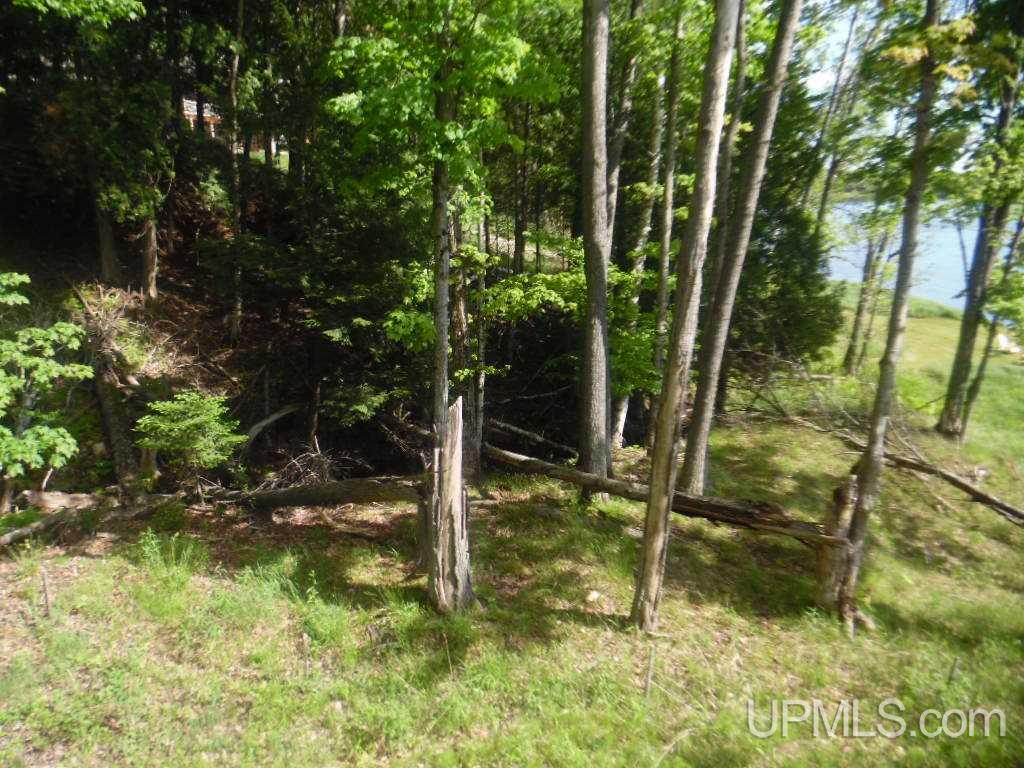 Tbd North Tbd N 75th Road, Unit 6 Gladstone, MI 49837 - Photo 9 of 13