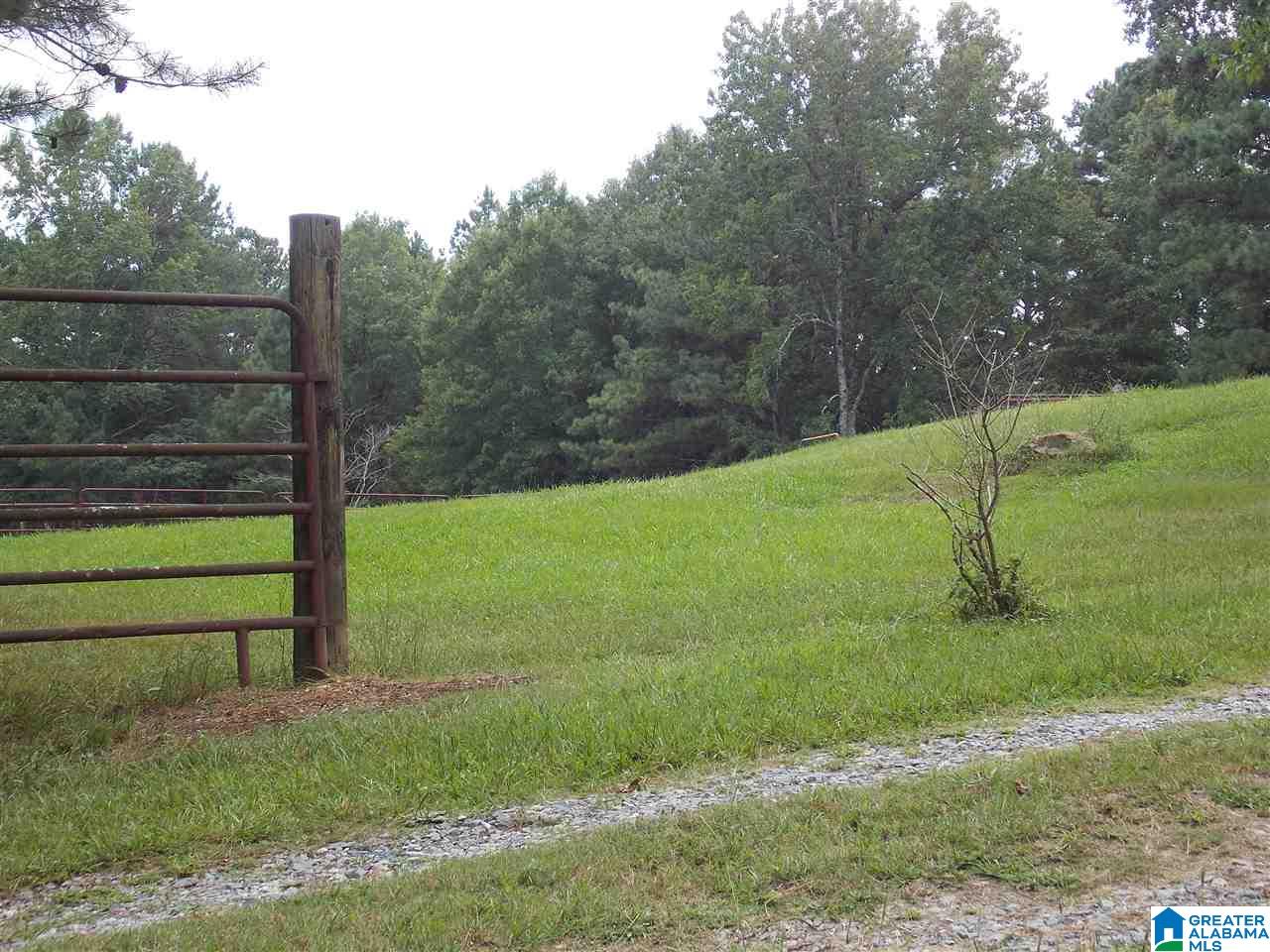 1319 Westover Road Sterrett, AL 35147 - Photo 8 of 38