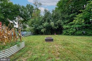 924 Veirs Mill Road Rockville, MD 20851 - Photo 2 of 12 a fire hydrant in the middle of a field