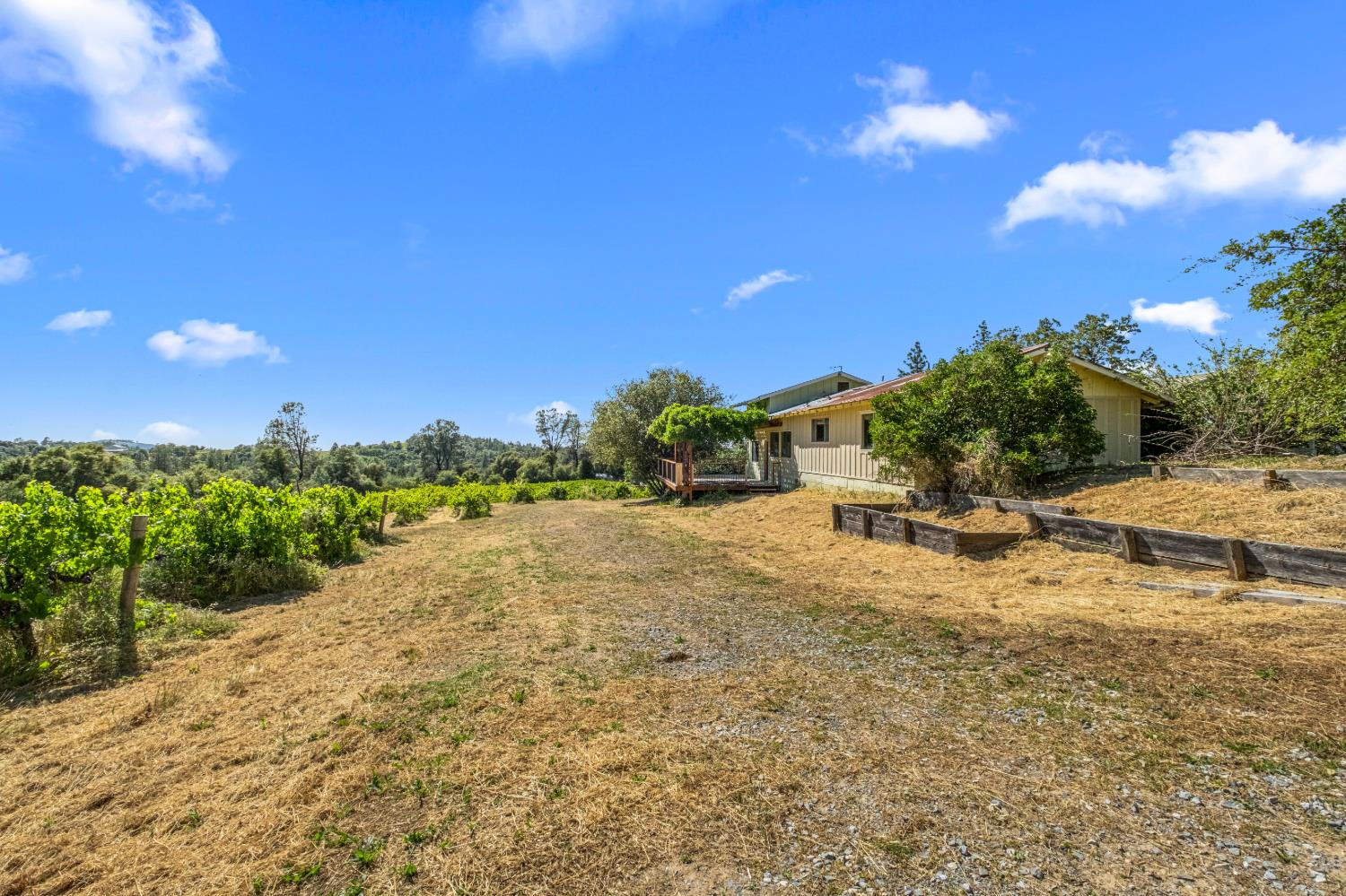8221 Stoney Creek Road Somerset, CA 95684 - Photo 40 of 44 a view of a yard with plants and a building