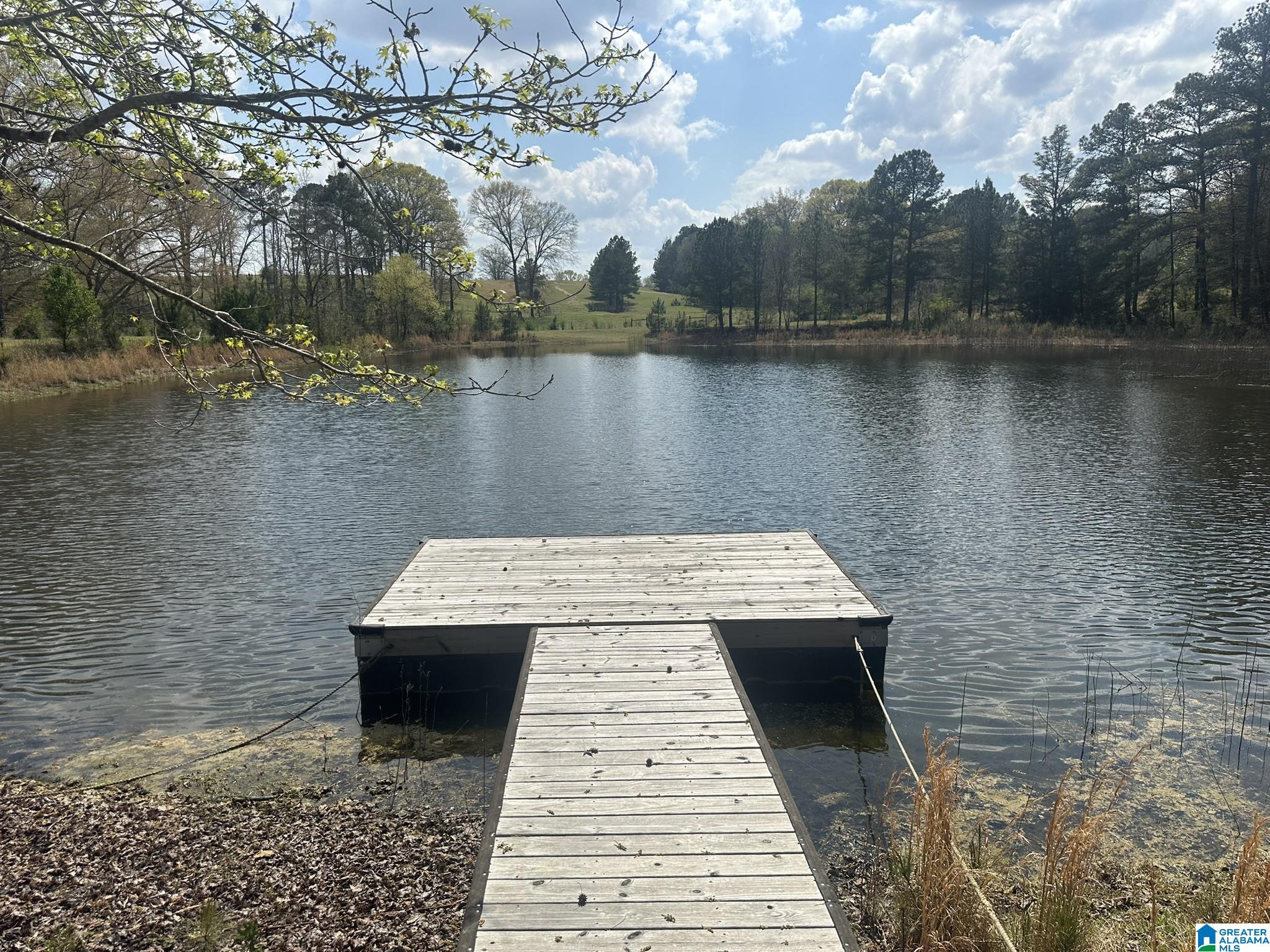 75 Mary Lee Lane Alpine, AL 35014 - Photo 12 of 77