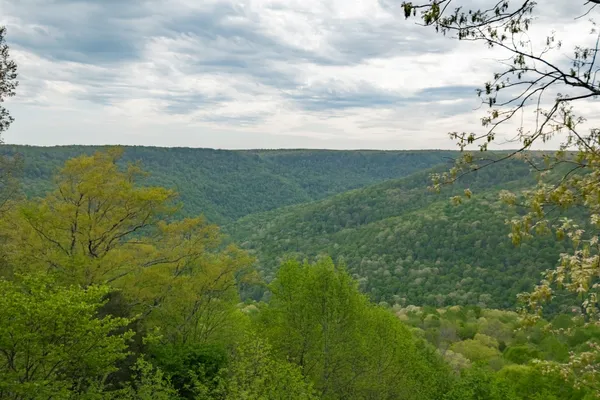 $414,400 | 1927 Laurel Lake Drive, Monteagle, TN 37356