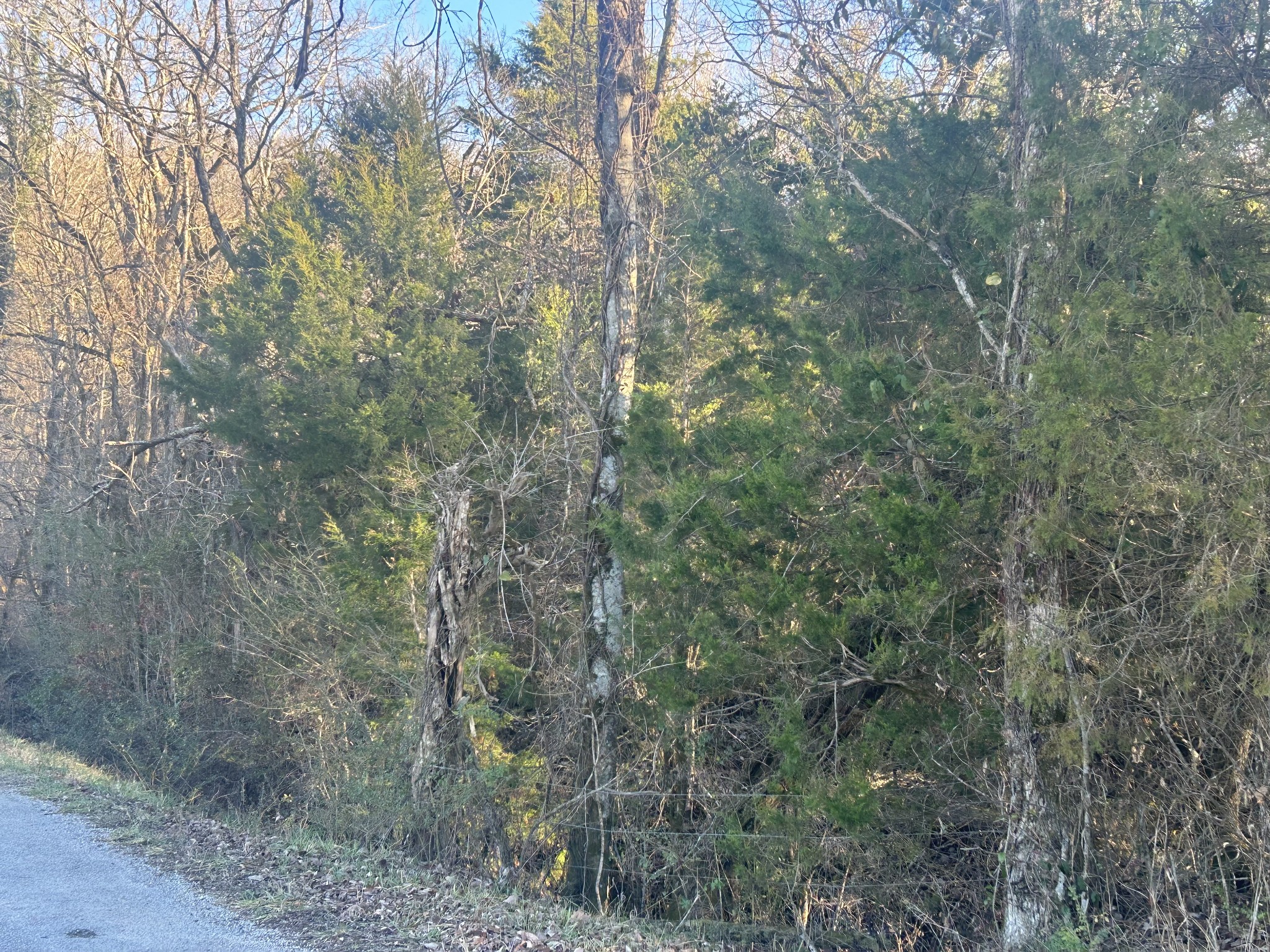 0 Wilson Hill Road Lewisburg, TN 37091 - Photo 16 of 20 Gallery Image 16