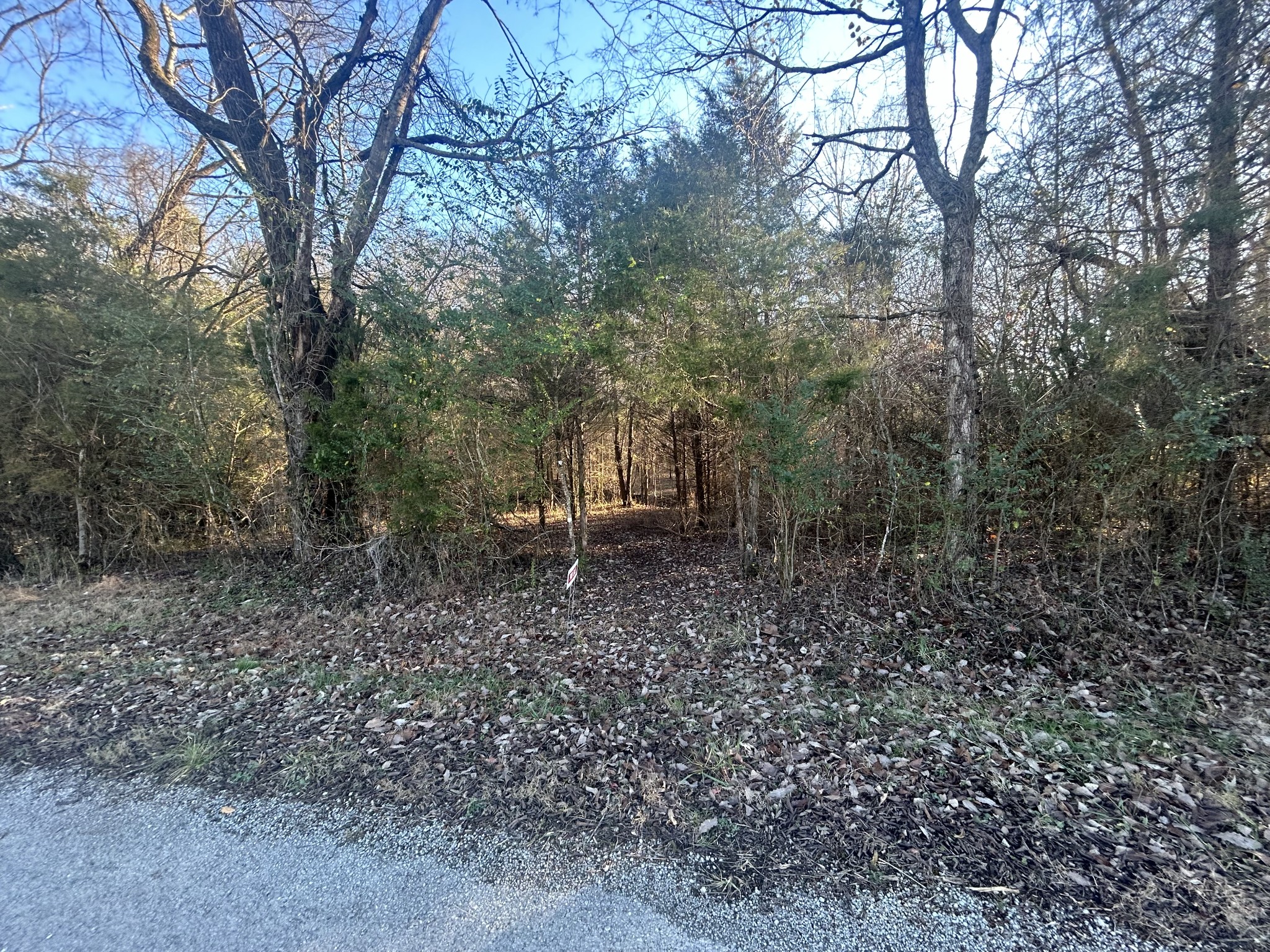0 Wilson Hill Road Lewisburg, TN 37091 - Photo 17 of 20 Gallery Image 17