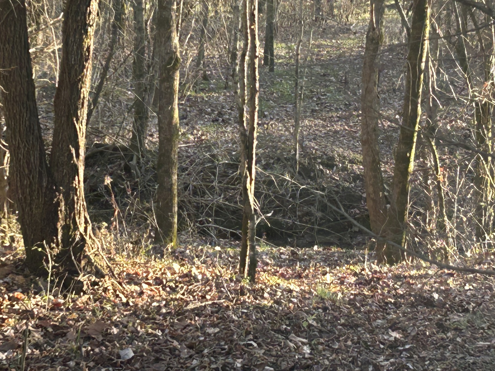 0 Wilson Hill Road Lewisburg, TN 37091 - Photo 20 of 20 Gallery Image 20