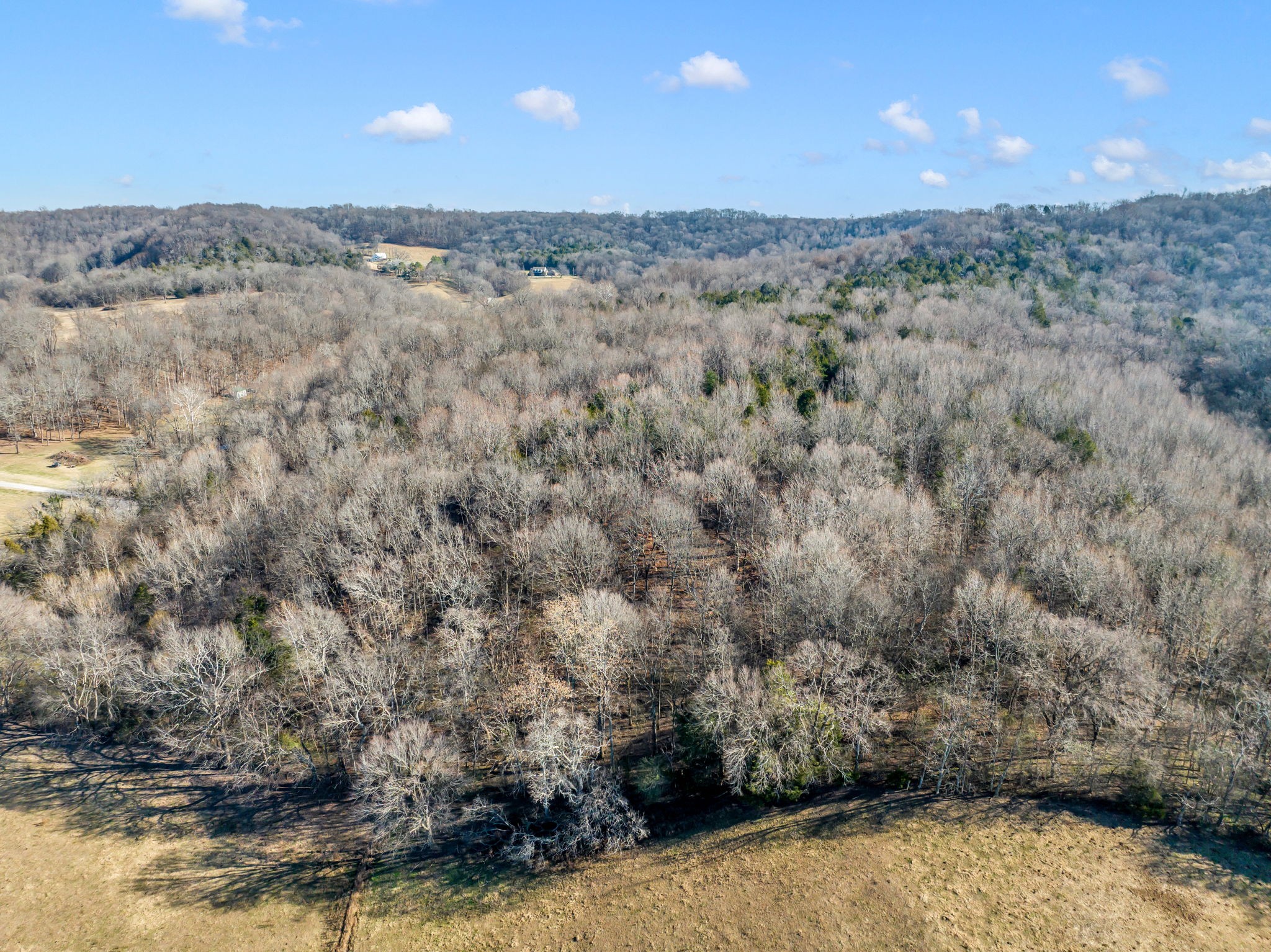 0 Wilson Hill Road Lewisburg, TN 37091 - Photo 10 of 20 Gallery Image 10