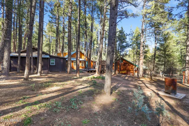 a view of a city with tall trees