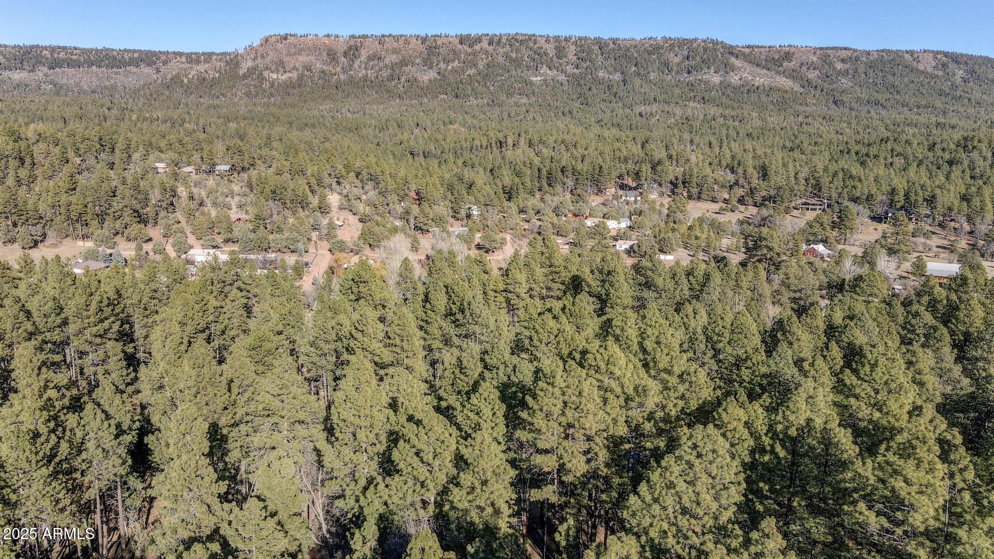 199 West Mockingbird Lane Payson, AZ 85541 - Photo 35 of 36