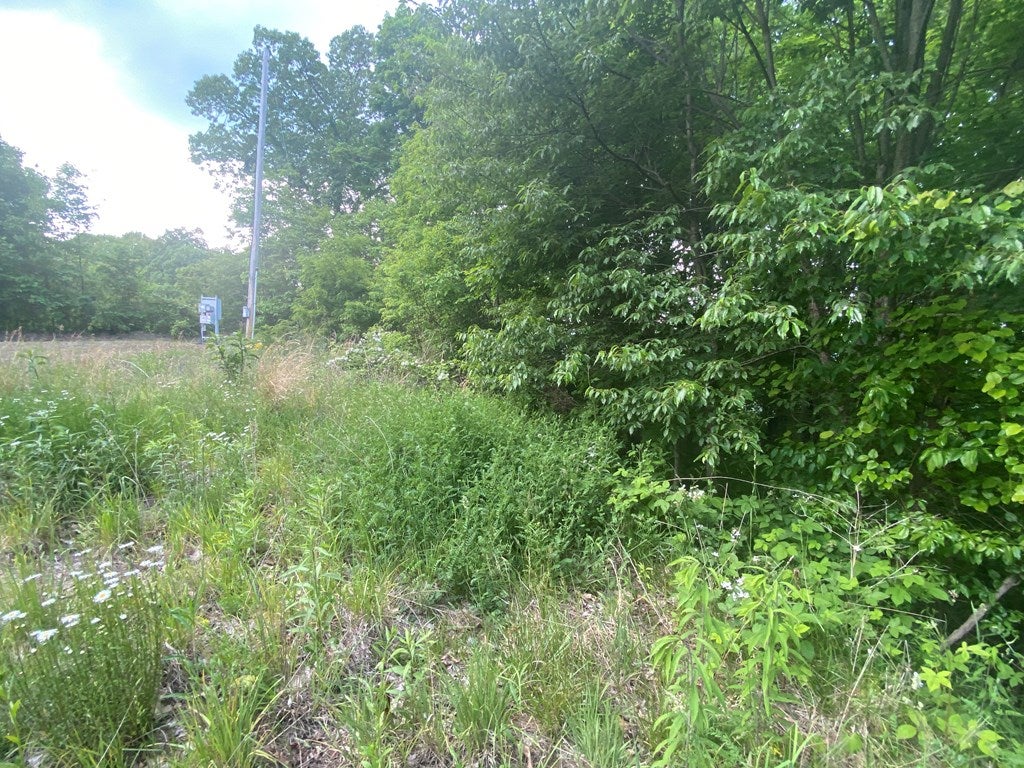 Tbd Arwood Hollow Road, Unit 46 Rowe, VA 24646 - Photo 23 of 30 Gallery Image 23