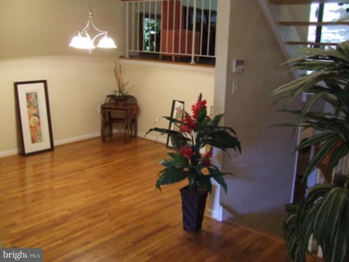 11186 Saffold Way Reston, VA 20190 - Photo 5 of 15 a vase of flowers sitting on a wooden floor