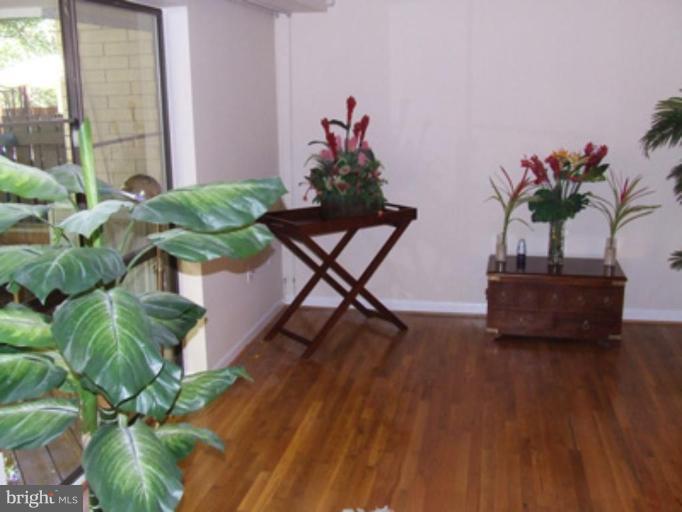 11186 Saffold Way Reston, VA 20190 - Photo 7 of 15 a living room with furniture and a potted plant