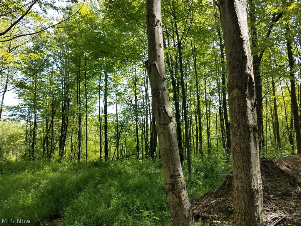 Sumner Road Thompson, OH 44086 - Photo 9 of 24
