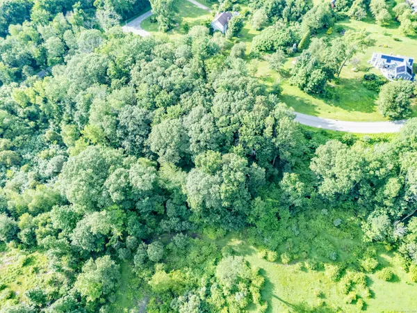 a view of a garden with plants
