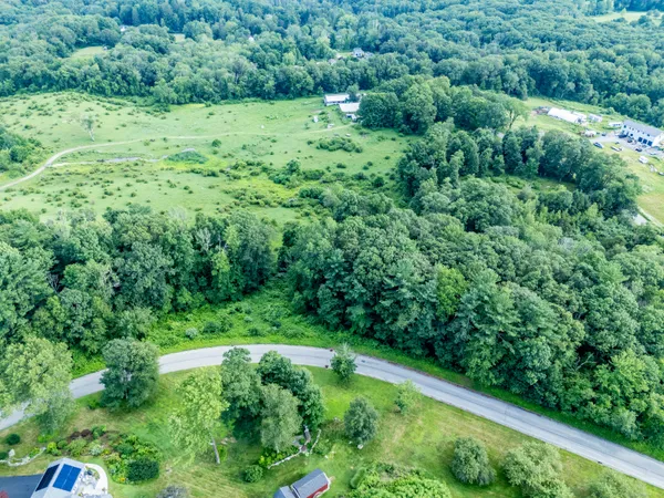 a view of a lush green forest