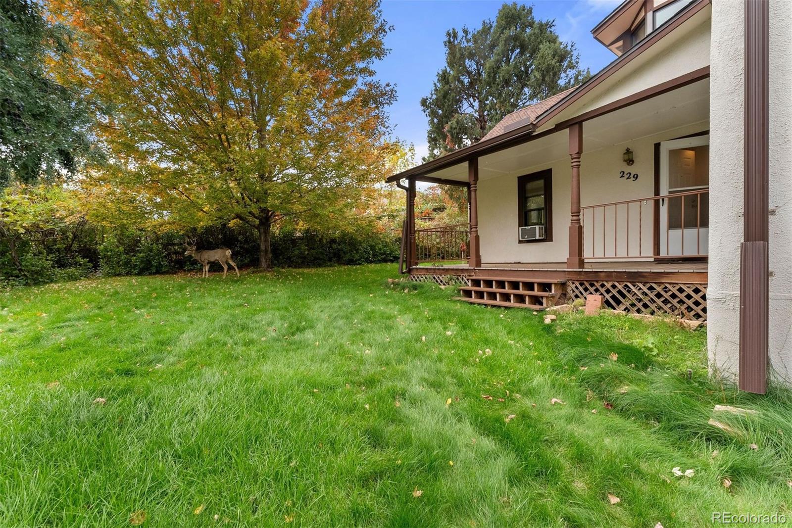 229 Highway 8 Morrison, CO 80465 - Photo 12 of 34 a front view of a house with garden
