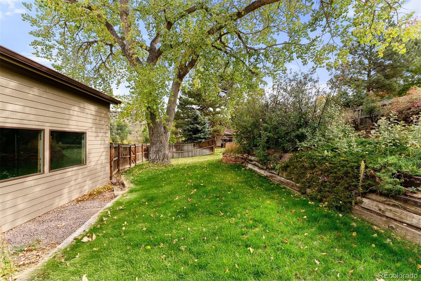 229 Highway 8 Morrison, CO 80465 - Photo 22 of 34 a view of a yard with plants and a large tree