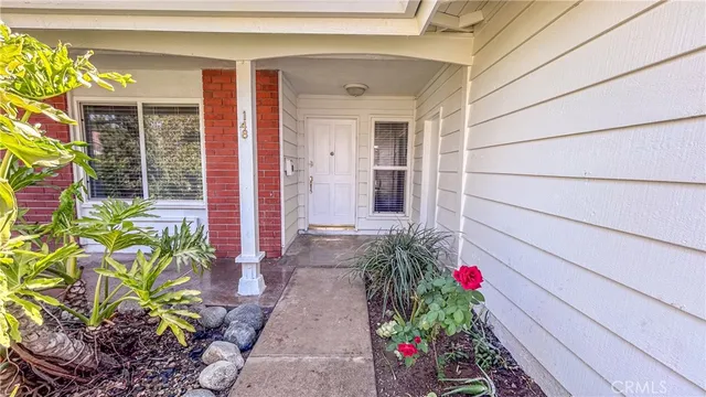a view of a pathway with plants